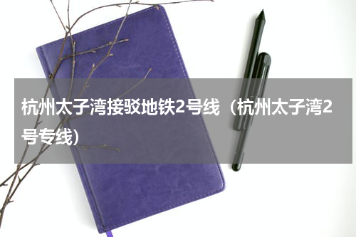 杭州太子湾接驳地铁2号线（杭州太子湾2号专线）