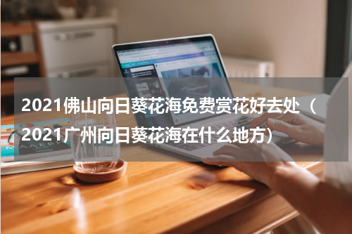 2021佛山向日葵花海免费赏花好去处（2021广州向日葵花海在什么地方）
