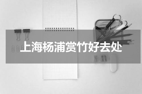 上海杨浦赏竹好去处