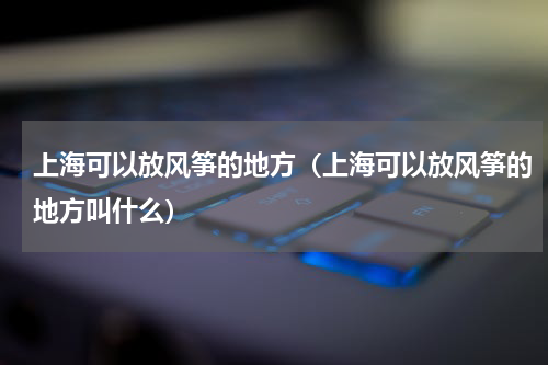 上海可以放风筝的地方（上海可以放风筝的地方叫什么）