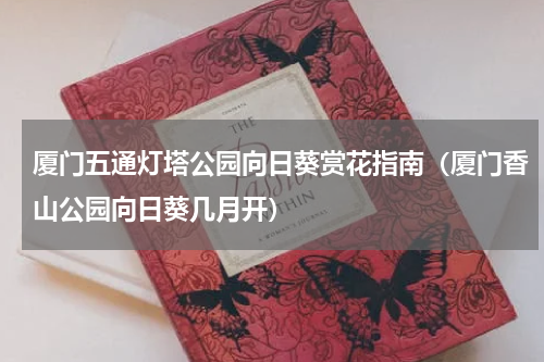 厦门五通灯塔公园向日葵赏花指南（厦门香山公园向日葵几月开）