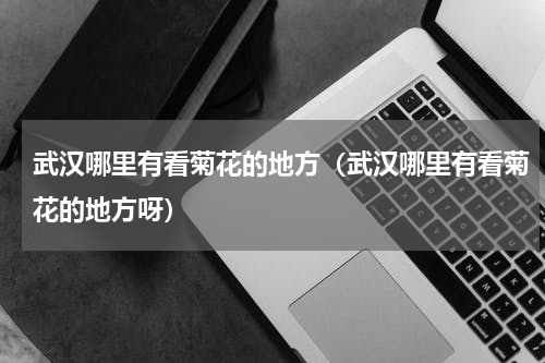 武汉哪里有看菊花的地方（武汉哪里有看菊花的地方呀）