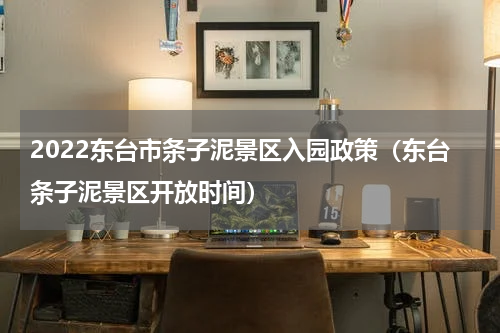 2022东台市条子泥景区入园政策（东台条子泥景区开放时间）
