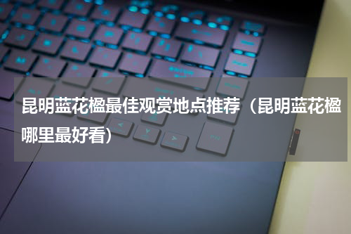 昆明蓝花楹最佳观赏地点推荐（昆明蓝花楹哪里最好看）