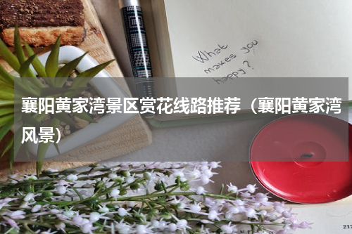 襄阳黄家湾景区赏花线路推荐（襄阳黄家湾风景）
