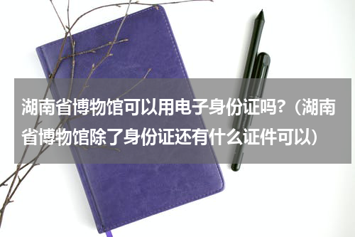 湖南省博物馆可以用电子身份证吗?（湖南省博物馆除了身份证还有什么证件可以）