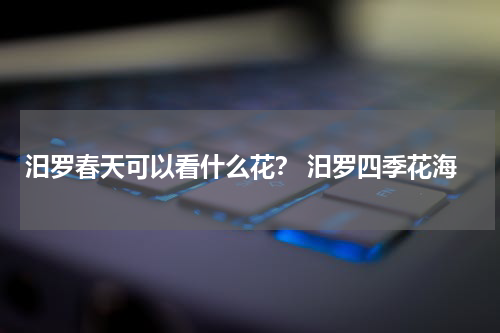 汨罗春天可以看什么花？ 汨罗四季花海