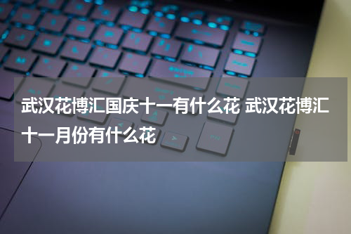 武汉花博汇国庆十一有什么花 武汉花博汇十一月份有什么花