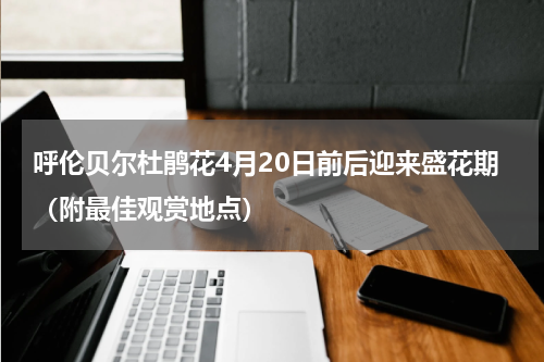 呼伦贝尔杜鹃花4月20日前后迎来盛花期（附最佳观赏地点）