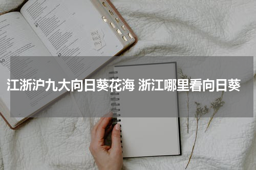 江浙沪九大向日葵花海 浙江哪里看向日葵