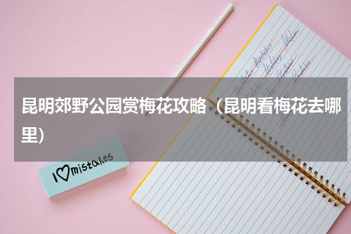 昆明郊野公园赏梅花攻略（昆明看梅花去哪里）