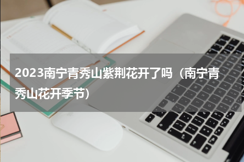 2023南宁青秀山紫荆花开了吗（南宁青秀山花开季节）