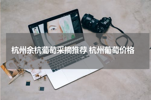 杭州余杭葡萄采摘推荐 杭州葡萄价格