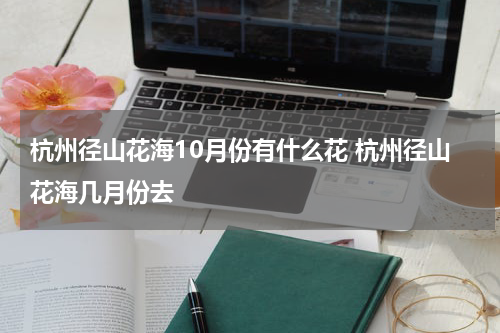 杭州径山花海10月份有什么花 杭州径山花海几月份去
