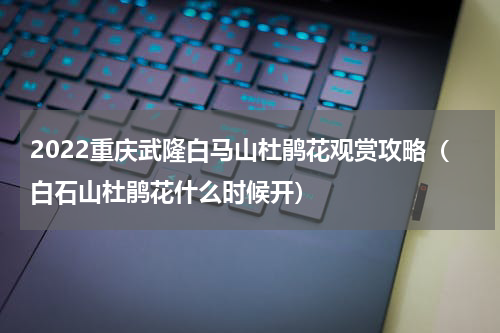 2022重庆武隆白马山杜鹃花观赏攻略（白石山杜鹃花什么时候开）