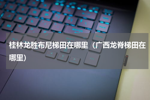 桂林龙胜布尼梯田在哪里（广西龙脊梯田在哪里）
