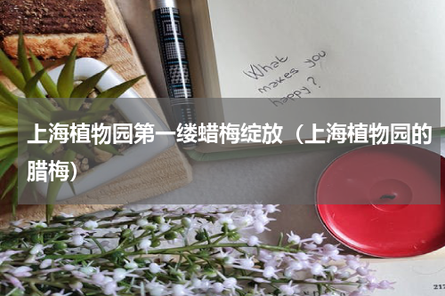 上海植物园第一缕蜡梅绽放（上海植物园的腊梅）