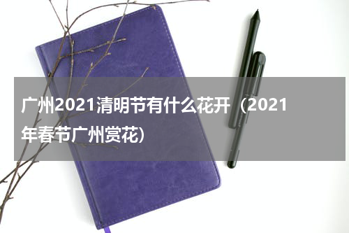 广州2021清明节有什么花开（2021年春节广州赏花）