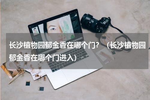 长沙植物园郁金香在哪个门？（长沙植物园郁金香在哪个门进入）
