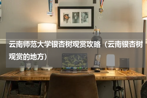 云南师范大学银杏树观赏攻略（云南银杏树观赏的地方）
