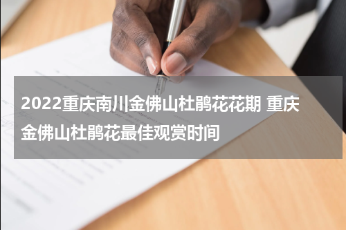 2022重庆南川金佛山杜鹃花花期 重庆金佛山杜鹃花最佳观赏时间