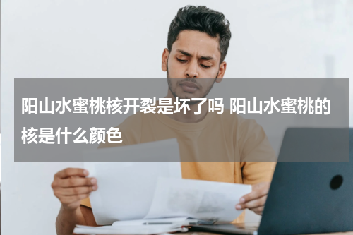 阳山水蜜桃核开裂是坏了吗 阳山水蜜桃的核是什么颜色