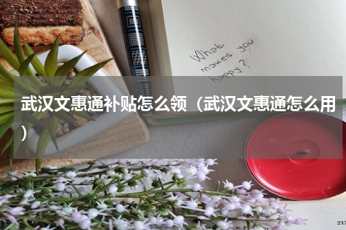 武汉文惠通补贴怎么领（武汉文惠通怎么用）