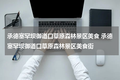 承德塞罕坝御道口草原森林景区美食 承德塞罕坝御道口草原森林景区美食街