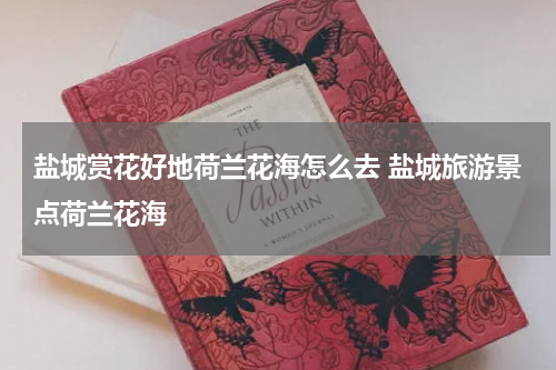 盐城赏花好地荷兰花海怎么去 盐城旅游景点荷兰花海