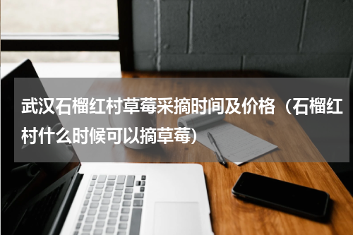 武汉石榴红村草莓采摘时间及价格（石榴红村什么时候可以摘草莓）