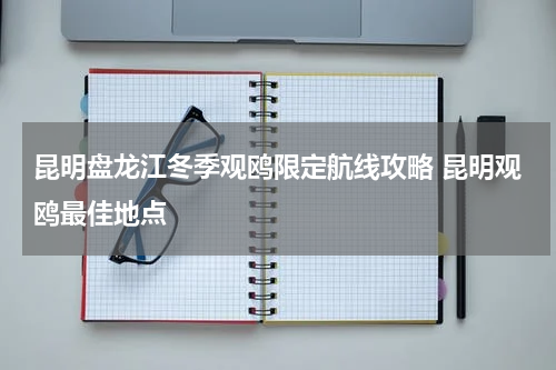 昆明盘龙江冬季观鸥限定航线攻略 昆明观鸥最佳地点