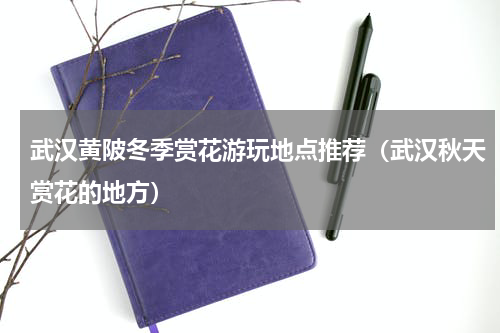 武汉黄陂冬季赏花游玩地点推荐（武汉秋天赏花的地方）