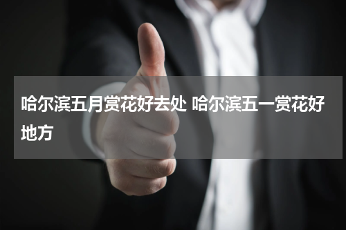 哈尔滨五月赏花好去处 哈尔滨五一赏花好地方