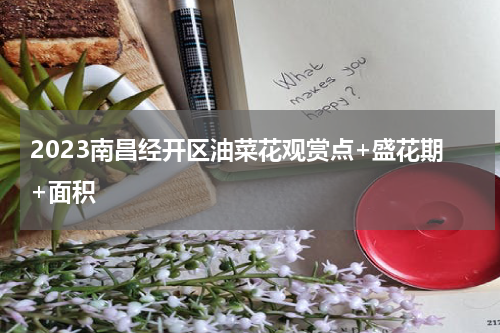 2023南昌经开区油菜花观赏点+盛花期+面积