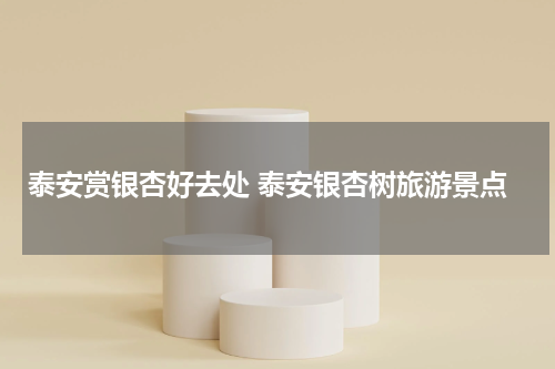 泰安赏银杏好去处 泰安银杏树旅游景点