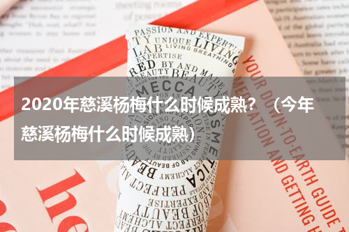 2020年慈溪杨梅什么时候成熟？（今年慈溪杨梅什么时候成熟）