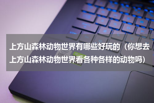上方山森林动物世界有哪些好玩的（你想去上方山森林动物世界看各种各样的动物吗）