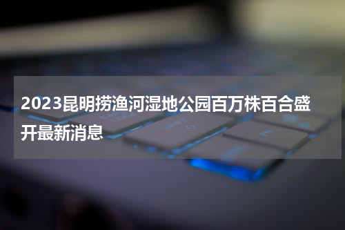 2023昆明捞渔河湿地公园百万株百合盛开最新消息
