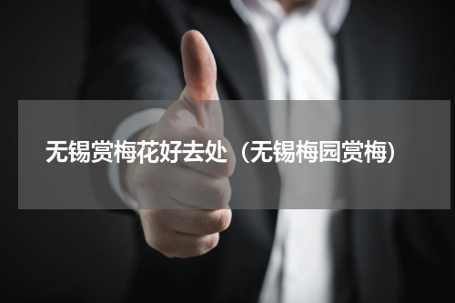 无锡赏梅花好去处（无锡梅园赏梅）