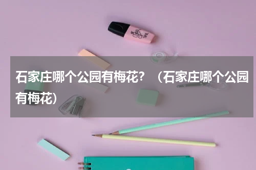 石家庄哪个公园有梅花？（石家庄哪个公园有梅花）