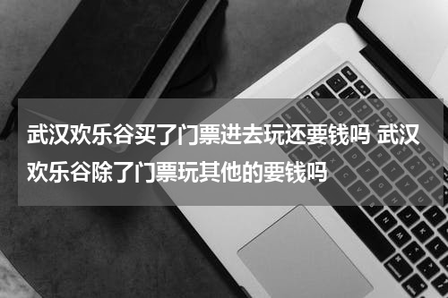 武汉欢乐谷买了门票进去玩还要钱吗 武汉欢乐谷除了门票玩其他的要钱吗