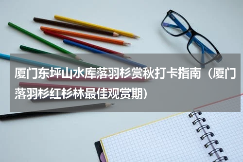 厦门东坪山水库落羽杉赏秋打卡指南（厦门落羽杉红杉林最佳观赏期）