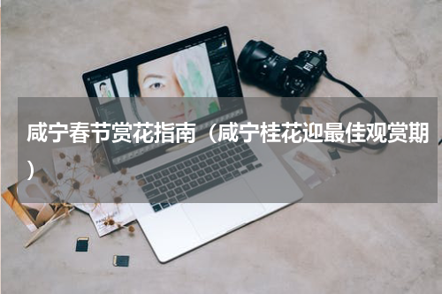 咸宁春节赏花指南（咸宁桂花迎最佳观赏期）