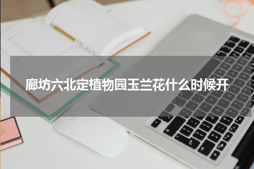 廊坊六北定植物园玉兰花什么时候开