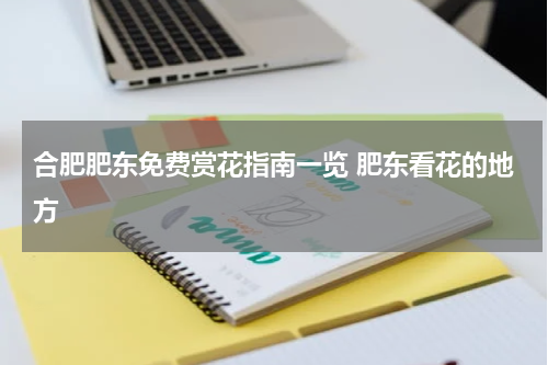 合肥肥东免费赏花指南一览 肥东看花的地方