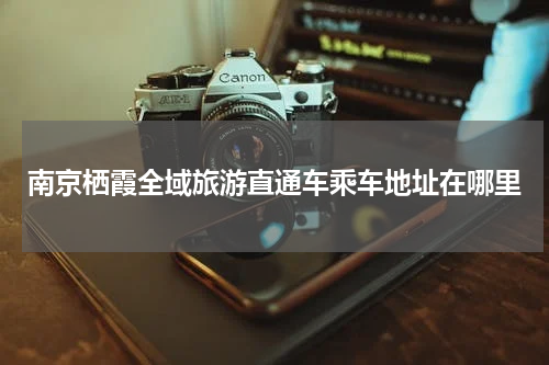 南京栖霞全域旅游直通车乘车地址在哪里