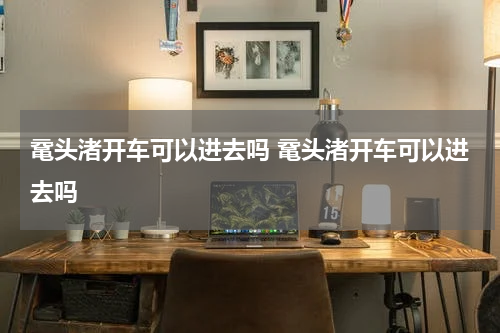 鼋头渚开车可以进去吗 鼋头渚开车可以进去吗