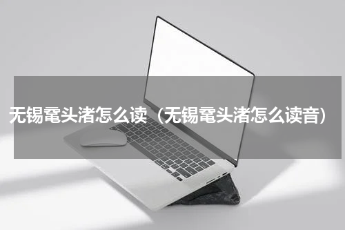 无锡鼋头渚怎么读（无锡鼋头渚怎么读音）