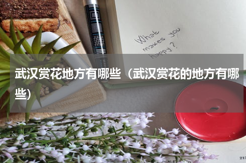 武汉赏花地方有哪些（武汉赏花的地方有哪些）