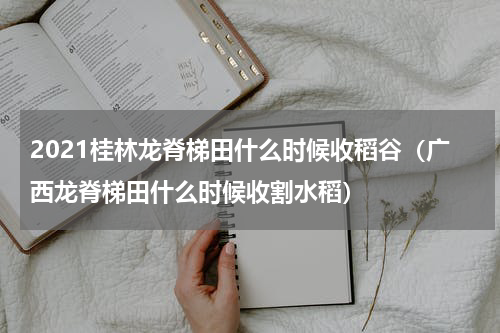 2021桂林龙脊梯田什么时候收稻谷（广西龙脊梯田什么时候收割水稻）